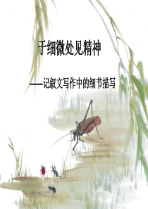 抓住细节作文指导课