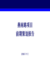 世联--深圳市燕南路项目前期策划报告120页