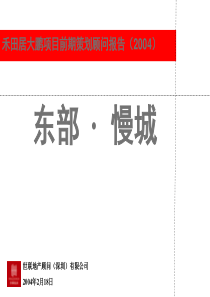 世联-深圳东部慢城项目前期策划顾问报告136PPT