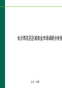 长沙雨花区区域商业市场调研分析报告