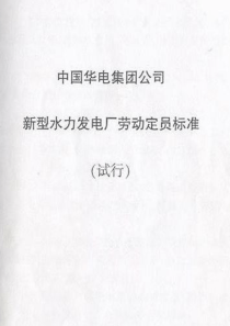 中国华电集团公司新型水力发电厂劳动定员标准