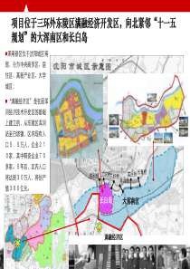 世联沈阳浑南新区项目前期策划