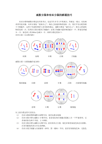 减数分裂和有丝分裂的解题技巧