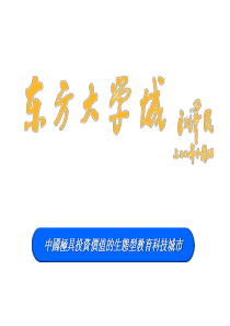 东方大学城项目策划报告