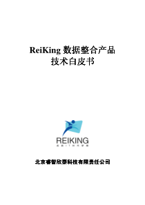 ReiKing数据整合产品技术白皮书（PDF77页）