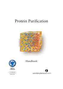 蛋白质纯化手册