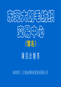 东莞大朗某商业批发市场项目策划方案81页