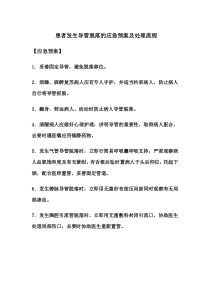 患者发生导管脱落的应急预案及处理流程