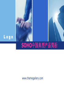 SOHO在中国的典型产品的简析XXXX