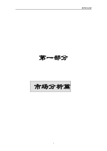 中关村理想国际大厦策划报告(1)