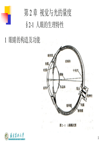 平板显示技术课件.PPT2