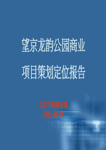 中原-望京龙韵公园商业项目策划定位报告