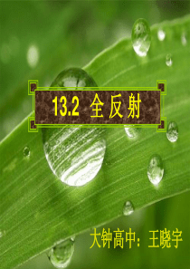 13.2《全反射》PPT课件(新人教版-选修3-4)