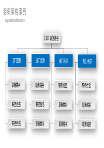 常用公司介绍组织架构模板