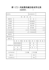 桥门式起重机定期检验自检记录