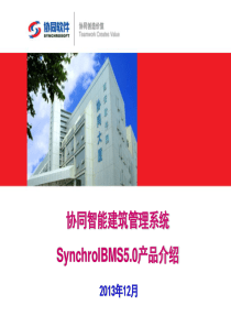 SynchroIBMS产品简介