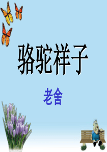 骆驼祥子(复习课详)