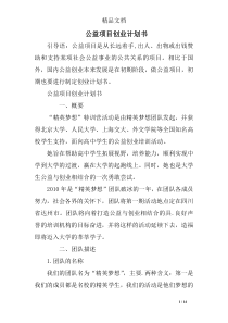 公益项目创业计划书