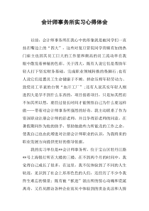 会计师事务所实习心得体会