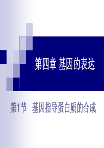 4.1基因指导蛋白质合成-课件-内含转录、翻译动画