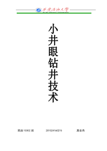 国内外小井眼钻井技术.