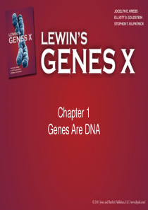 Gene-X-ppt-(Gene10-基因十)--Chapter01