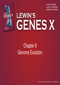 Gene-X-ppt(Gene10-基因十)--Chapter08