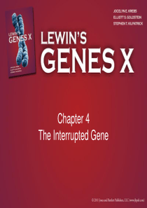 Gene-X-ppt(Gene10-基因十)--Chapter04