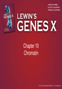 Gene-X-ppt(Gene10-基因十)--Chapter10