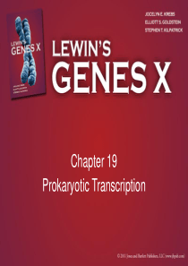 Gene-X-ppt(Gene10-基因十)--Chapter19