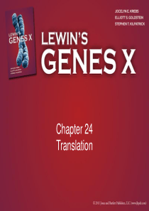 Gene-X-ppt(Gene10-基因十)--Chapter24