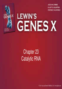 Gene-X-ppt(Gene10-基因十)--Chapter23