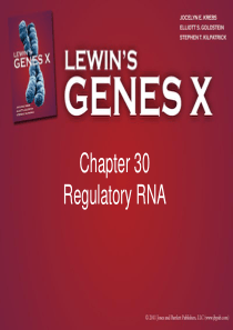 Gene-X-ppt(Gene10-基因十)--Chapter30