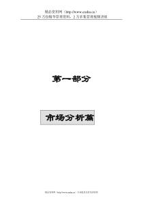 中×村理想国际大厦策划报告