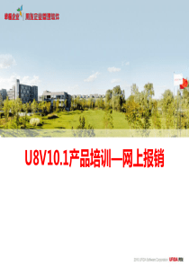 U8V101产品培训—网上报销