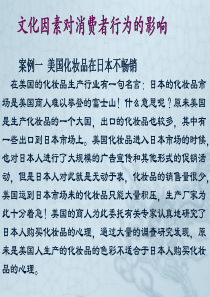 社会文化因素对消费者购买行为的影响