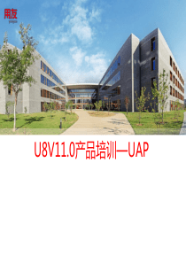 U8V110UAP产品功能介绍