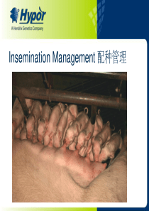 海波尔猪场配种管理-Heat-stimulation-Insemination-Management