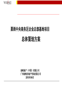 中央商务区企业总部基地项目总体策划方案