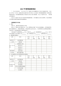 2017年营销战略规划