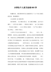 大学生个人实习总结800字