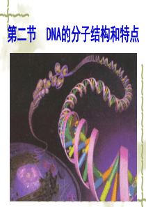 DNA的分子结构和特点-课件