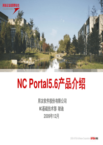 V56新特性培训_Portal产品介绍