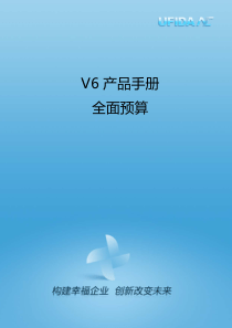 V6产品手册-全面预算