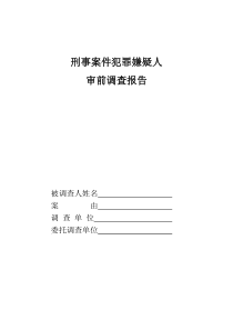 刑事案件犯罪嫌疑人审前调查报告