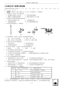 九年级化学下册期中试卷