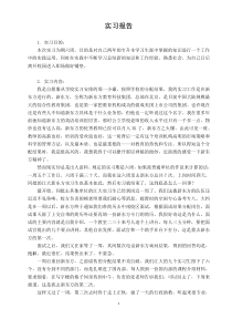 在新东方的实习报告