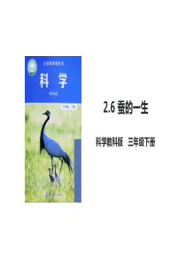 【2020教科版三年级下册科学】二单元2.6-蚕的一生(课件ppt)