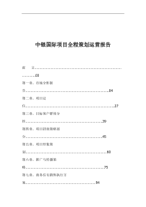 中银国际项目全程策划运营报告(1)