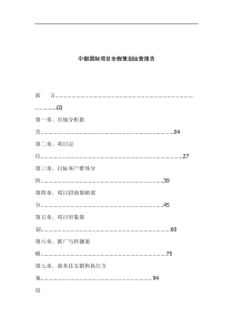 中银国际项目全程策划运营报告